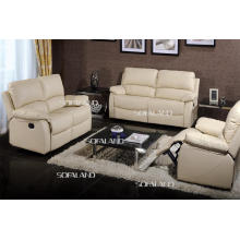 Modern Design Leather Sofa (C743)